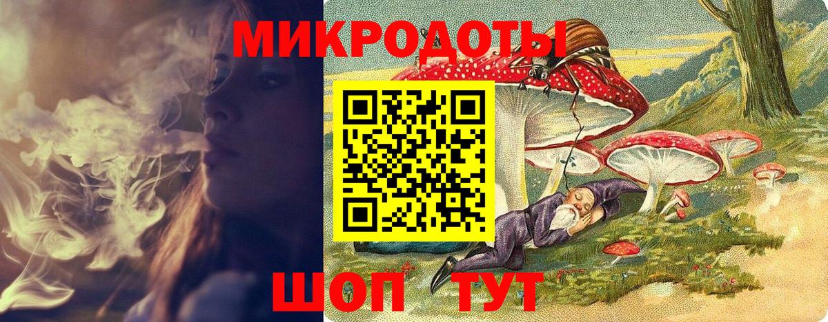 Псилоцибиновые грибы Cubensis Дербент